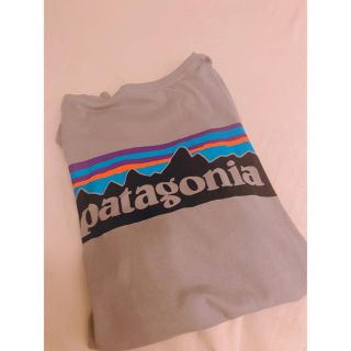 パタゴニア(patagonia)のパタゴニア Tシャツ(Tシャツ(半袖/袖なし))