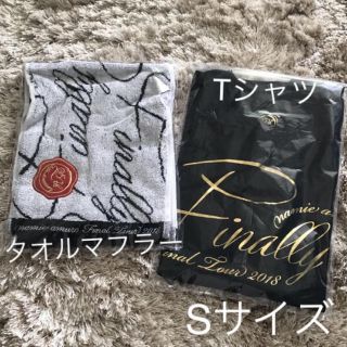 未使用 安室ちゃん Tシャツ＆タオル(ミュージシャン)