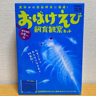 ガッケン(学研)のおばけえび 飼育観察キット 学研 Gakken(アクアリウム)