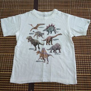 ユニクロ(UNIQLO)のリアン様専用 恐竜Tシャツ(Tシャツ/カットソー)