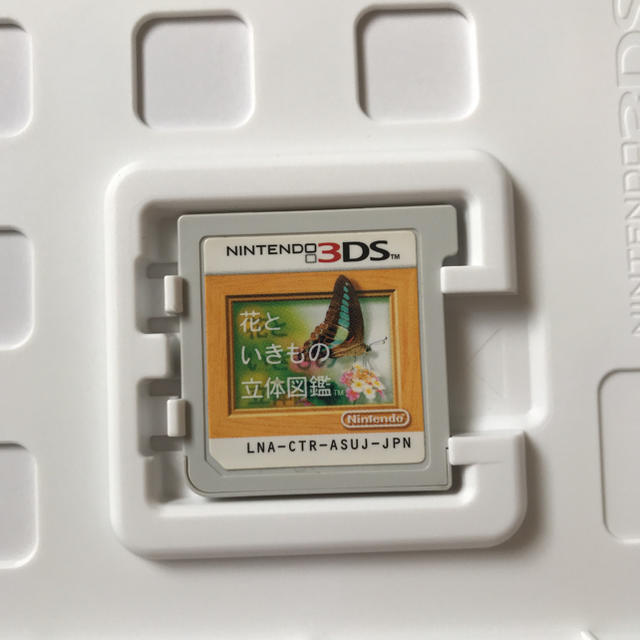 ニンテンドー3DS(ニンテンドー3DS)の花といきもの立体図鑑 箱つき、説明書つき エンタメ/ホビーのゲームソフト/ゲーム機本体(携帯用ゲームソフト)の商品写真