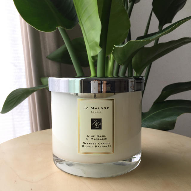 Jo malone デラックス ホーム キャンドルバジルベースノート