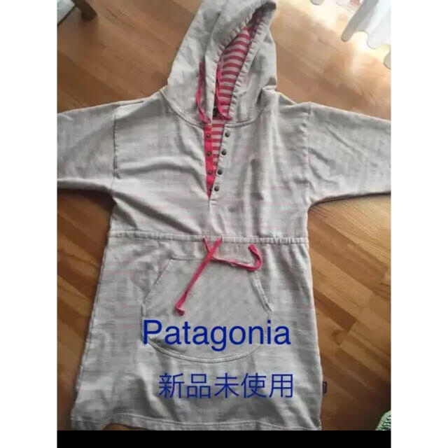 patagonia(パタゴニア)のPatagonia パタゴニア ワンピース  キャンプウェア 登山 レディースのワンピース(ひざ丈ワンピース)の商品写真