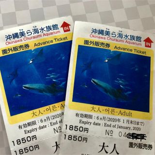 美ら海水族館 入場券(水族館)