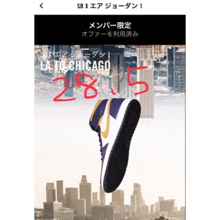 ナイキ(NIKE)のSB × Air Jordan 1 Court Purple(スニーカー)