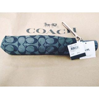 コーチ(COACH)の【新品・未使用】コーチ折りたたみ傘 F63364(傘)