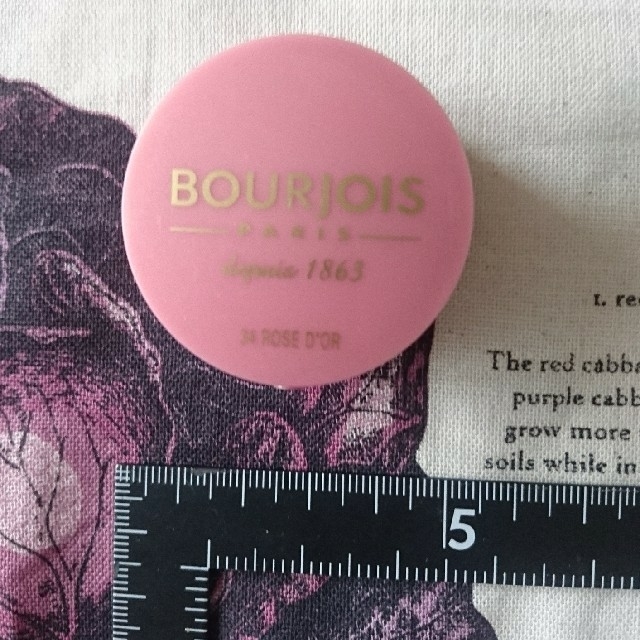 bourjois(ブルジョワ)のブルジョワ チーク 34番 美品 ブルジョア コスメ/美容のベースメイク/化粧品(チーク)の商品写真