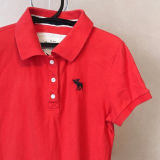 アバクロンビーアンドフィッチ(Abercrombie&Fitch)のアバクロ ポロシャツ レディース(ポロシャツ)