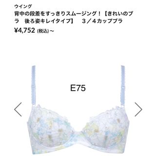 Wacoal、Wing、後ろ姿きれい、ブラ、ブラジャー - 下着、E75、水色
