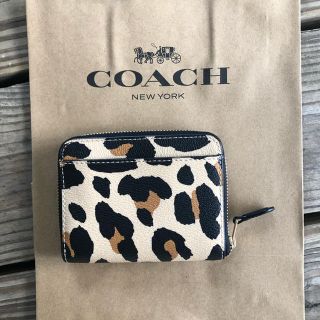 新品　COACH コーチ　折り財布　アニマル　二つ折り財布