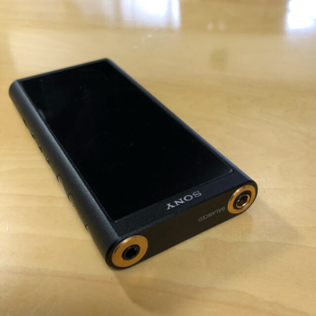 SONY NW-ZX300  おまけ２点