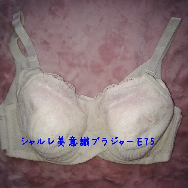 シャルレ(シャルレ)の美意識ブラジャー レディースの下着/アンダーウェア(ブラ)の商品写真