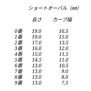 ネイルチップ 29. ハンドメイドのアクセサリー(ネイルチップ)の商品写真