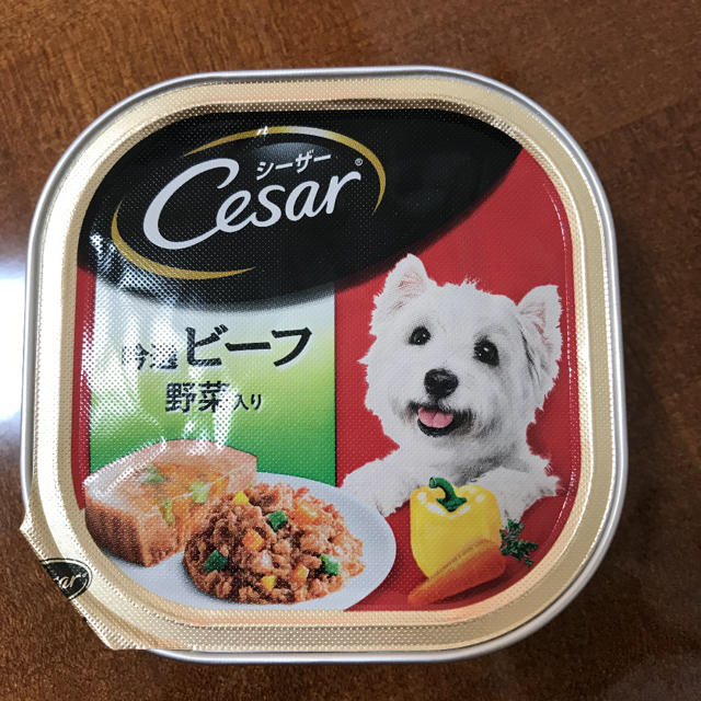 CASAR(シーザー)のシーザー 吟選ビーフ野菜入り その他のペット用品(ペットフード)の商品写真