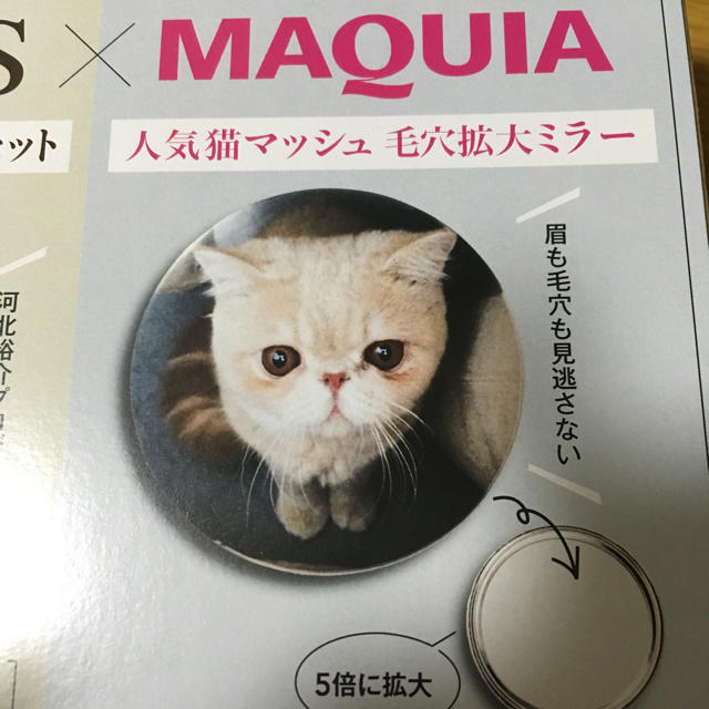 雑誌付録 猫ミラー2点セットの通販 By Asa S Shop ラクマ