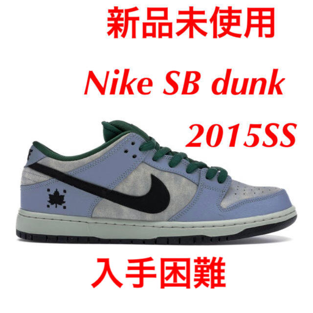 靴/シューズNIKE SB DUNK maple leaf ナイキ ダンク スケートボード