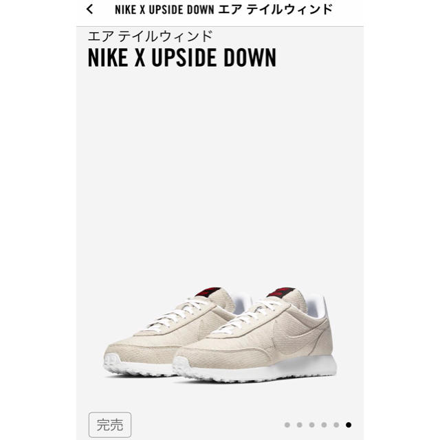 【26.5】STRANGER THINGS NIKE AIR TAILWIND