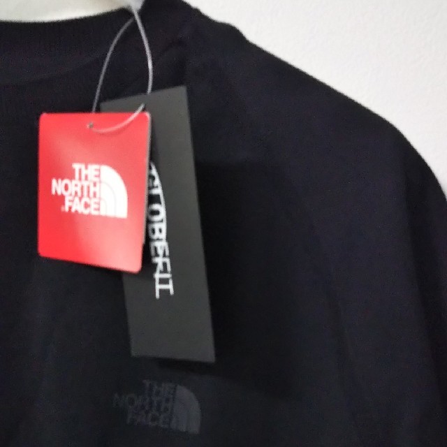 THE NORTH FACE(ザノースフェイス)のTHE NORTH FACE ﾒﾝｽﾞ メンズのトップス(Tシャツ/カットソー(半袖/袖なし))の商品写真