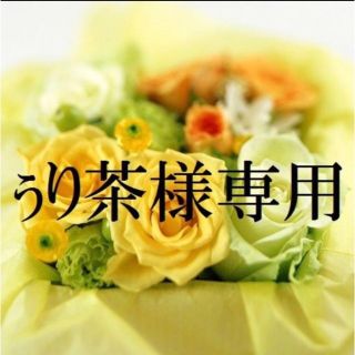 ぅり茶様専用  お米　H30　愛媛県産ヒノヒカリ　白米　30㎏(米/穀物)