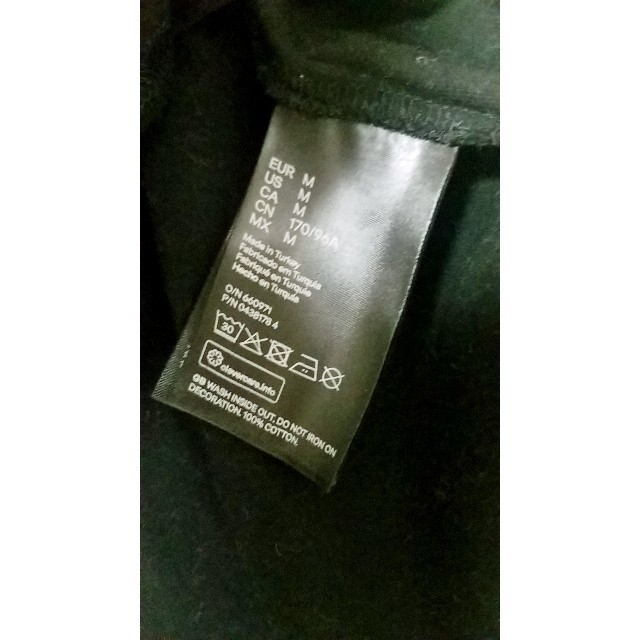 KENZO(ケンゾー)のKENZO×H&M タイガーTシャツ　美品レア　サイズM メンズのトップス(Tシャツ/カットソー(半袖/袖なし))の商品写真