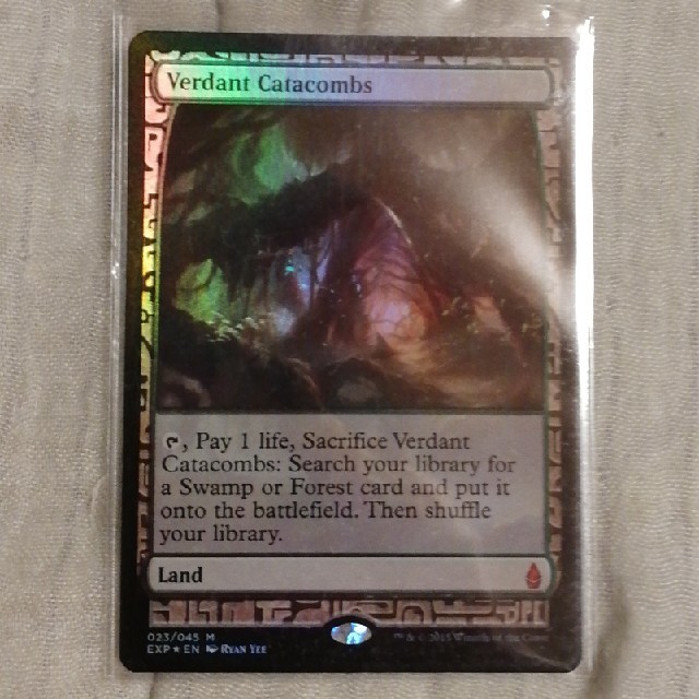 MTG 新緑の地下墓地 foil 3枚セット NM未使用保管品 - トレーディング MTG 新緑の地下墓地 foil 3枚セット NM未使用保管品 - トレーディング
