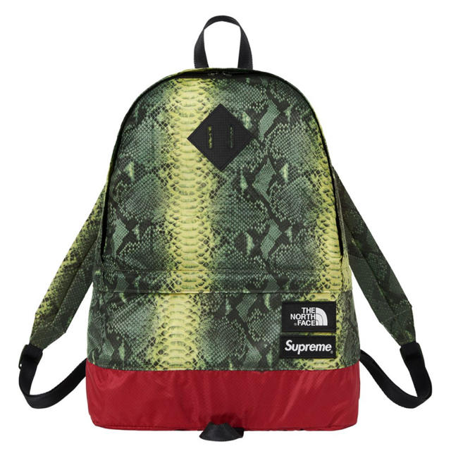 Supreme/The North Face Snakeskin DayPack