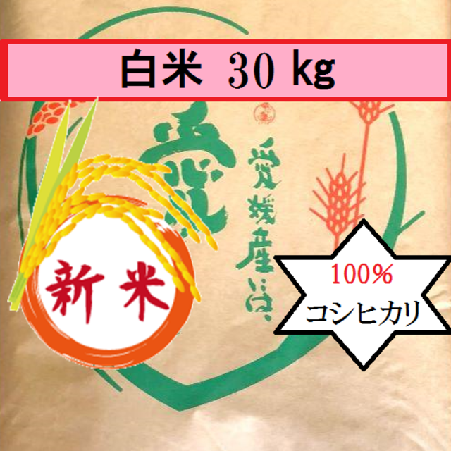 お米　Ｒ元　愛媛県産コシヒカリ　白米　30㎏