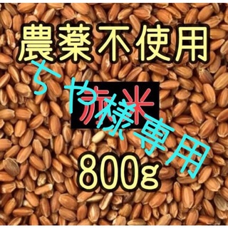 ちや様専用  赤米・黒米（古代米）　愛媛県産　各800g(米/穀物)