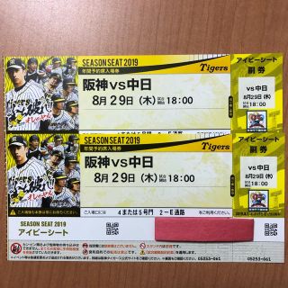 ハンシンタイガース(阪神タイガース)の阪神 vs 中日 8月29日(木) 甲子園 アイビーシート ペアチケット(野球)