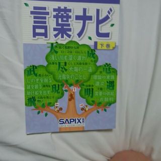 サピックス 言葉ナビ 下巻の通販 by ふくちゃん's shop|ラクマ サピックス 言葉ナビ 下巻の通販 by ふくちゃん's shop|ラクマ