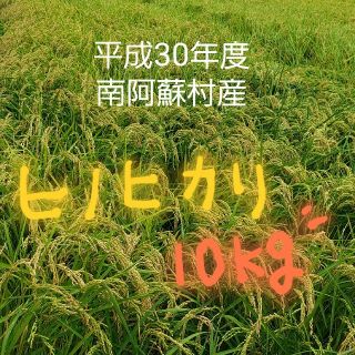 ひのひかり10㎏(米/穀物)