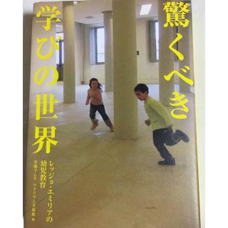 驚くべき学びの世界 レッジョ・エミリアの幼児教育(ノンフィクション/教養)