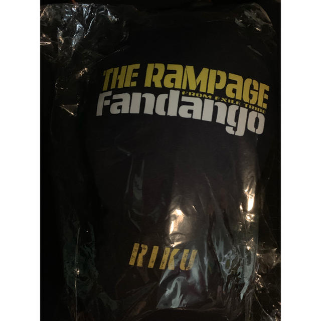 青山陸 クッション fandango - ミュージシャン