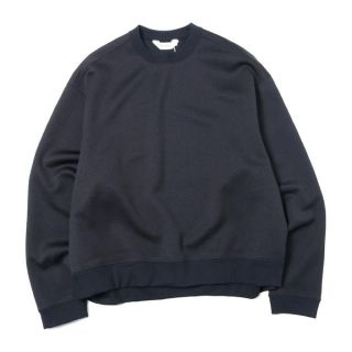 ディガウェル(DIGAWEL)のDIVERSE-Web/DOUBLE-KNIT L/S P/O(スウェット)