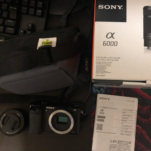 Sony α6000