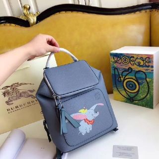 ロエベ(LOEWE)のLOEWE ダンボ  リュック(その他)