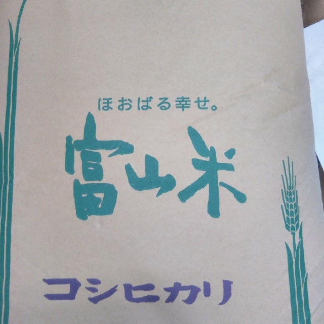 訳あり玄米　富山県産こしひかり　米/穀物