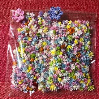 ◆専用◆💐スターフラワー💐2セット(ドライフラワー)