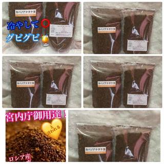 北海道のぷちオマケ付★カバ茶１０袋セット数量限定　のこり僅か　ダイエット(健康茶)