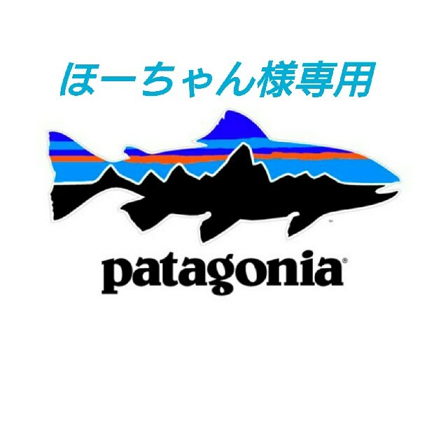 patagonia(パタゴニア)のpatagonia＊ショルダーバッグ メンズのバッグ(ショルダーバッグ)の商品写真