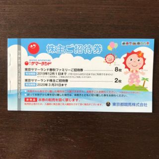 サマーランド 株主優待券(遊園地/テーマパーク)