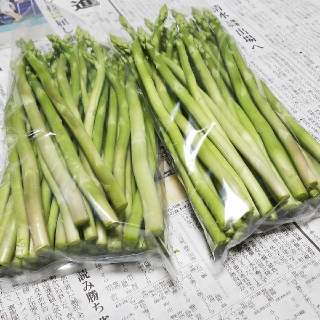 出雲市産　グリーンアスパラガス　５００グラム　送料込み 食品/飲料/酒の食品(野菜)の商品写真