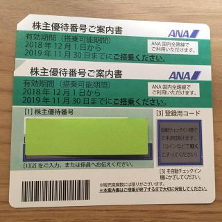 エーエヌエー(ゼンニッポンクウユ)(ANA(全日本空輸))のANA株主優待券２枚(その他)