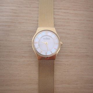 スカーゲン(SKAGEN)のSKAGEN(腕時計)