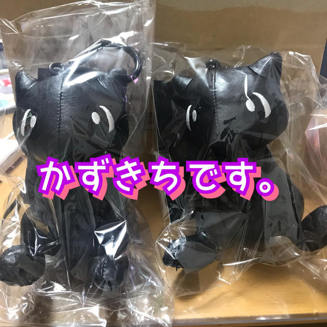 FRAGMENT(フラグメント)のフラグメント ポケモン マスコット P151L BLACK FRAGMENT その他のその他(その他)の商品写真