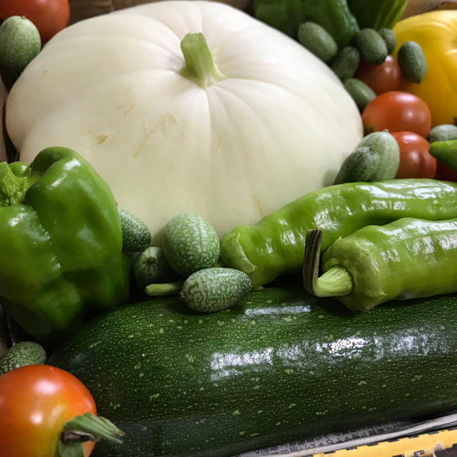 ☆新鮮！無農薬野菜の詰め合わせ☆ 食品/飲料/酒の食品(野菜)の商品写真