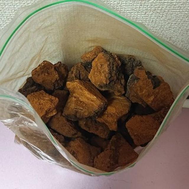 【値下げ】北海道産樺孔茸茶（カバノアナタケ茶）チャーガ茶（100％）塊（原体）