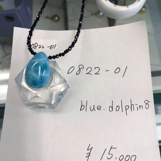0822-01 blue.dolphin専用