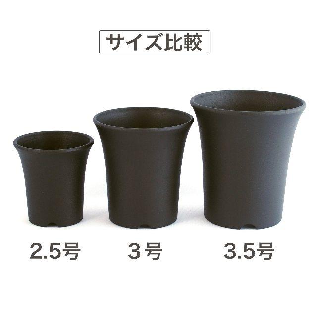 多肉植物にあうプラ鉢/ミニ蘭鉢 3号 24個セットの通販 by LION's shop|ラクマ 多肉植物にあうプラ鉢/ミニ蘭鉢 3号 24個セットの通販 by LION's shop|ラクマ