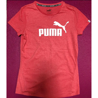 プーマ(PUMA)のPUMA プーマ Tシャツ ◆試着のみ美品◆(Tシャツ(半袖/袖なし))
